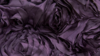Rosette - Plum - 108x156 rental in San Antonio, TX