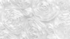Rosette - White - 13 x 120 (Runner) rental in San Antonio, TX