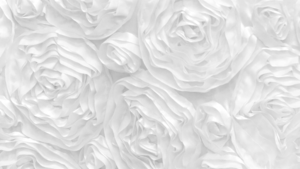 Rosette - White - 8 x 108 (Sash) rental San Antonio, TX