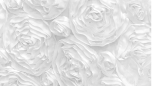 Rosette - White - 90x132 rental San Antonio, TX