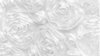 Rosette - White - 90x132 rental in San Antonio, TX