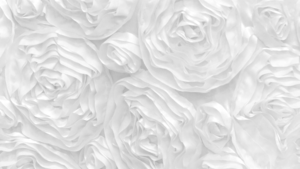 Rosette - White - 90x156 rental San Antonio, TX