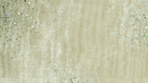 Sparkle Organza - Ivory 128 - 8 x 108 (Sash) rental San Antonio, TX