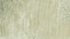Sparkle Organza - Ivory 128 - 90x156 rental in San Antonio, TX