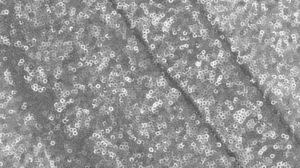 Matte Sequin - Silver - 90x156 rental San Antonio, TX