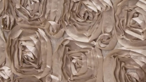 Rosette - Champagne - 90x156 rental San Antonio, TX