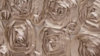 Rosette - Champagne - 90x156 rental in San Antonio, TX