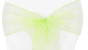 Organza - Apple Green - 6 x 108 (Sash) rental San Antonio, TX
