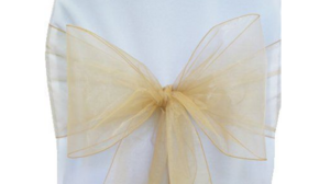 Organza - Champagne - 6 x 108 (Sash) rental San Antonio, TX