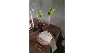 Heirloom Blush Dinner Plate 10.75" rental Austin, TX