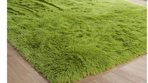 Rug - Green Shag - 5' x 7' rental San Antonio, TX