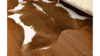 Rug - Cowhide - 5' x 5' rental in San Antonio, TX