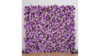 Purple and Pink Flower Wall rental in Atlanta, GA