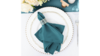 Teal Napkin 17X17 rental in Minneapolis-St. Paul, MN