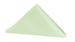 Napkin Sage rental Phoenix, AZ