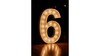 Marquee Numbers - "6" rental in Phoenix, AZ