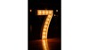 Marquee Numbers - "7" rental in Phoenix, AZ