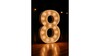 Marquee Numbers - "8" rental in Phoenix, AZ