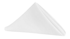 White Polyester Dinner Napkin rental New York, NY