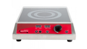 Induction Burner Single rental New York, NY