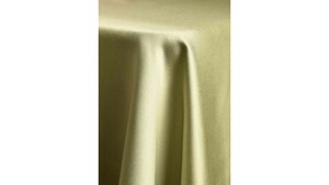 120" Tablecloth Lamour - Kiwi rental Phoenix, AZ
