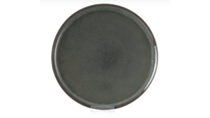 Harvest Forest Green Dinner Plate 10.5" (Pack o... rental New York, NY