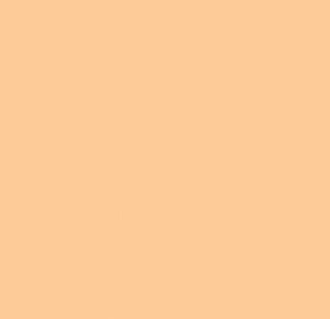 Peach Polyester Dinner Napkin rental New York, NY