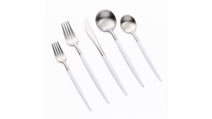 Vera Silver White Handle Salad Fork (Pack of 10) rental New York, NY