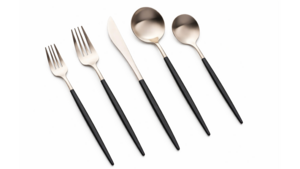 Vera Silver Black Handle Salad Fork (Pack of 10) rental New York, NY
