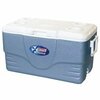 Blue Cooler rental in San Antonio, TX