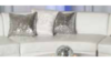 Lounge - White Armless Curved Sofa rental in Miami-Ft. Lauderdale, FL