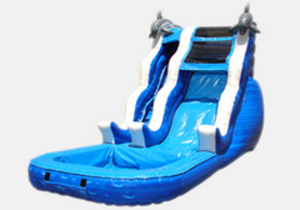 Sea Theme Waterslide rental San Antonio, TX