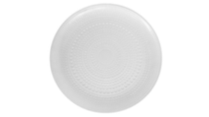 Charger - Pearl Bubble Glass rental Miami-Ft. Lauderdale, FL