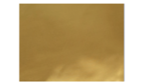 Cushion - Gold Satin rental Miami-Ft. Lauderdale, FL