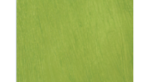 Cushion - Lime Green rental Miami-Ft. Lauderdale, FL