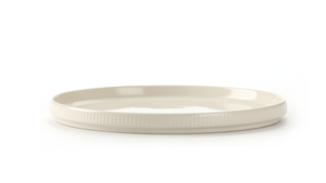 Grove Bone White Dinner Plate 10.75" (Pack of 10) rental New York, NY