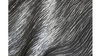 Fortuny Linen 120"- Silver rental in Miami-Ft. Lauderdale, FL