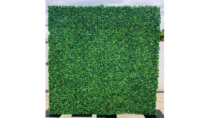 Green Wall Backdrop rental Miami-Ft. Lauderdale, FL