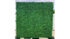 Green Wall Backdrop rental in Miami-Ft. Lauderdale, FL
