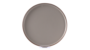 Grove Charcoal Dinner Plate 10.25" (Pack of 10) rental New York, NY