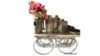 Moroccan Cart rental in Miami-Ft. Lauderdale, FL