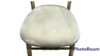 Specialty Cushion - Ivory Velvet rental in Miami-Ft. Lauderdale, FL