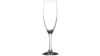 Champagne Flute 6 Oz. (rack Of 36) rental in New York, NY