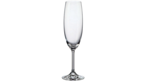Martina Champagne Flutes 7.74 oz. (rack Of 25) rental New York, NY