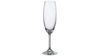 Martina Champagne Flutes 7.74 oz. (rack Of 25) rental in New York, NY