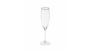 Napa Champagne Glass 9.5 oz - Silver Rim rental New York, NY