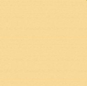 Camel Polyester 108" x 132" Rectangle rental New York, NY