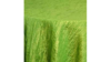 Fortuny Linen 120"- Lime Green rental in Miami-Ft. Lauderdale, FL
