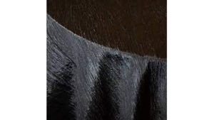 Fortuny Linen 132"- Black rental Miami-Ft. Lauderdale, FL