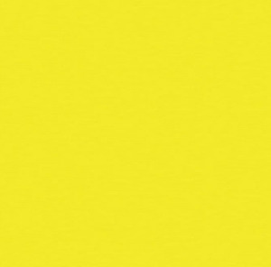 Lemon Polyester Chair Sash rental New York, NY